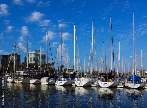 boats in marina