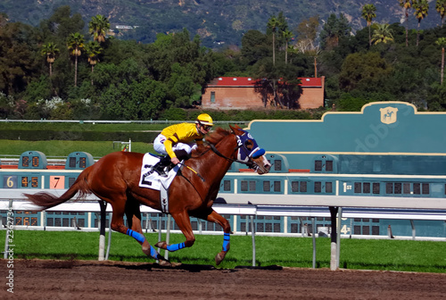 thoroughbred horse racing