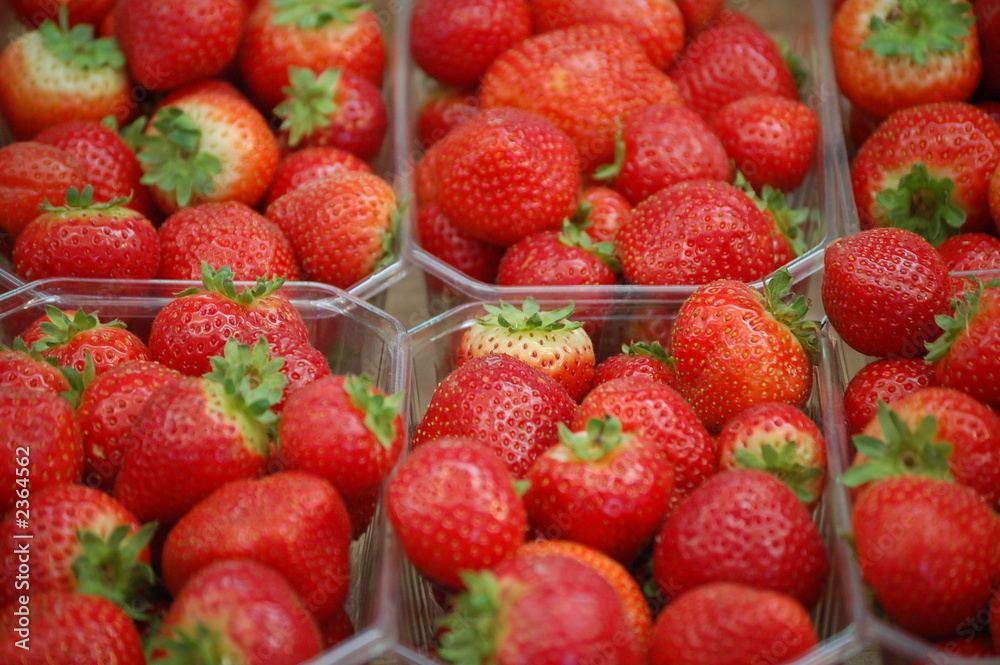erdbeeren in schalen