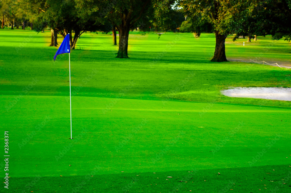 Obraz premium golf green