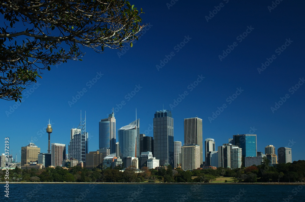 Fototapeta premium sydney city