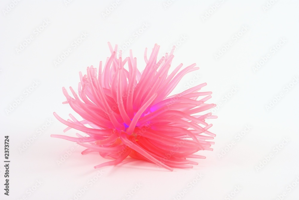 pink rubber ball pink rubber ball
