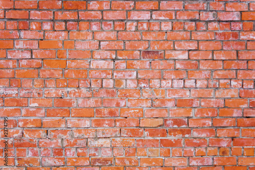 the brick wall