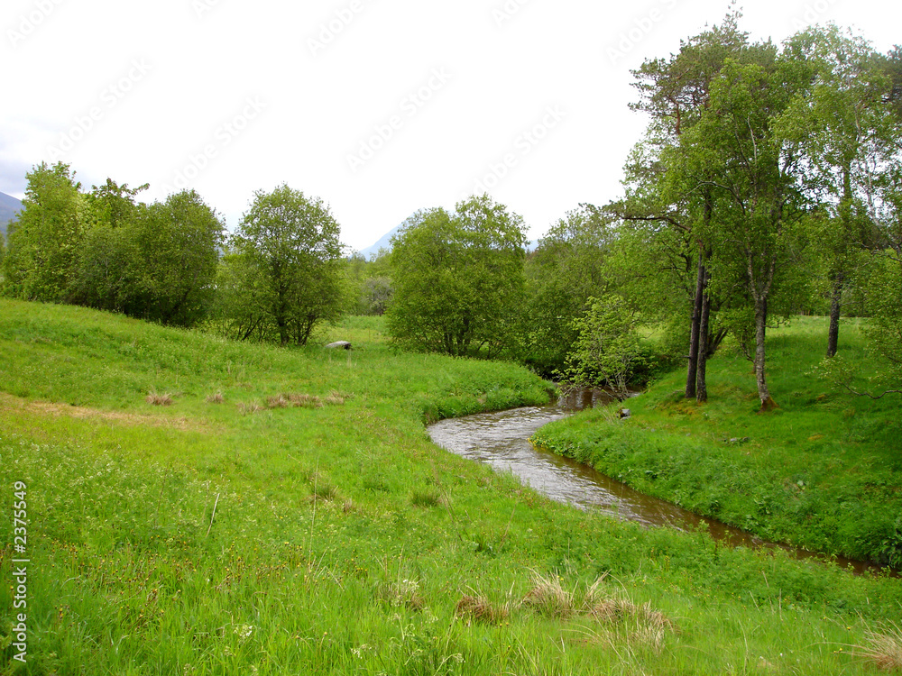 rural meadow