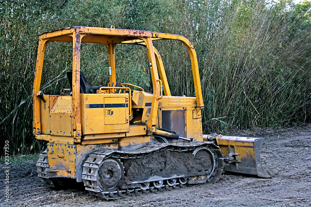 bulldozer and bamboo