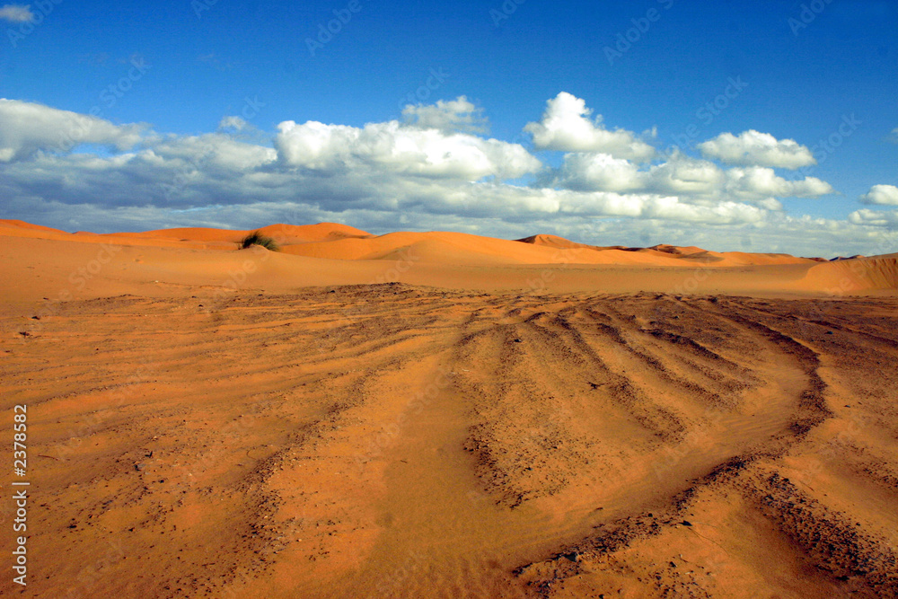 sahara -  maroc