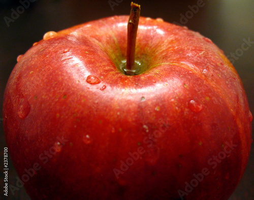 fruit