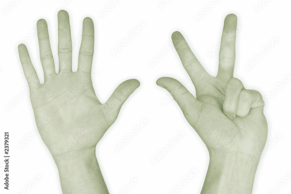 hand nr. 8 - in green hand nr. 8 - in green