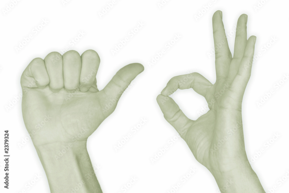 Fototapeta premium hand nr. 10 - zehn - in grün