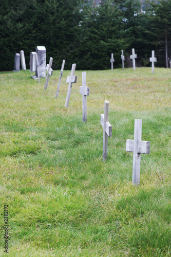 crosses at a graveyard