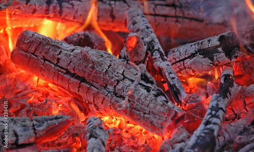 embers #2