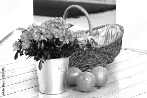 bunte mischung sw