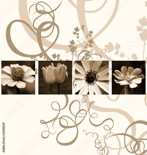 flowers