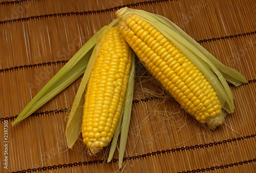 maize