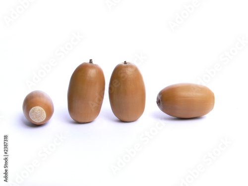 four acorns