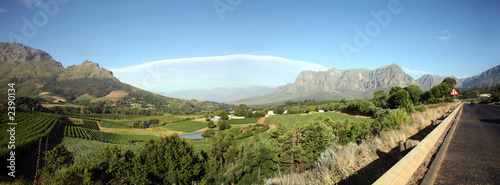 stellenbosh