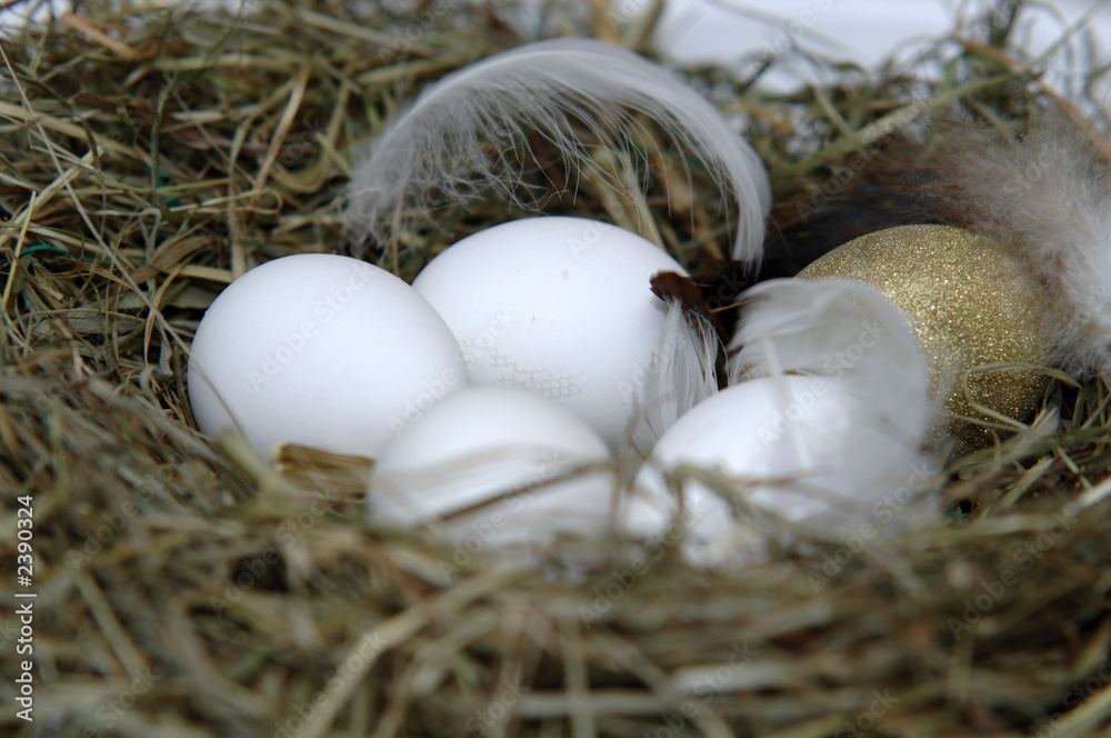 Obraz premium osterei