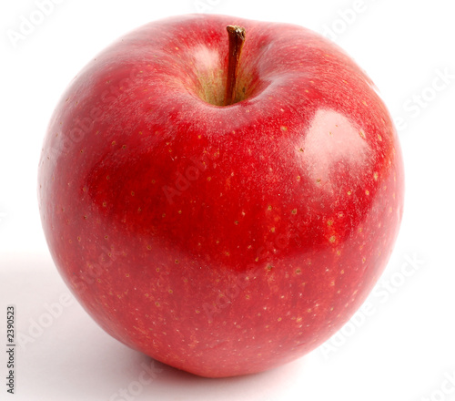 apfel apple