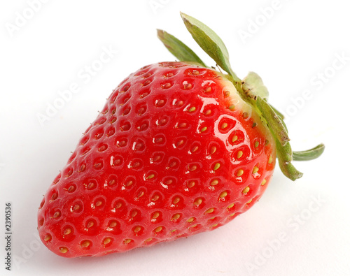 erdbeere strawberry