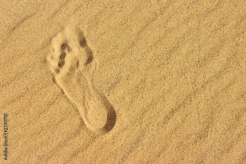 footprint