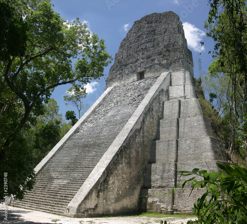 temple v, tikal