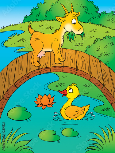 goat and duck