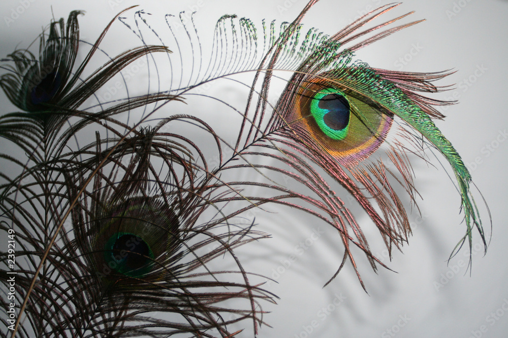 Obraz premium schatten und licht