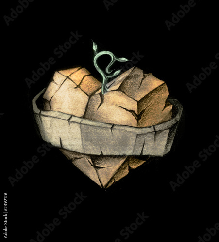 stone heart