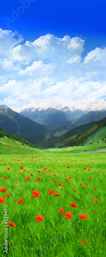 green field in mountain
