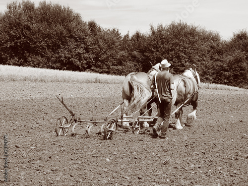 bauer bei der feldarbeit photo