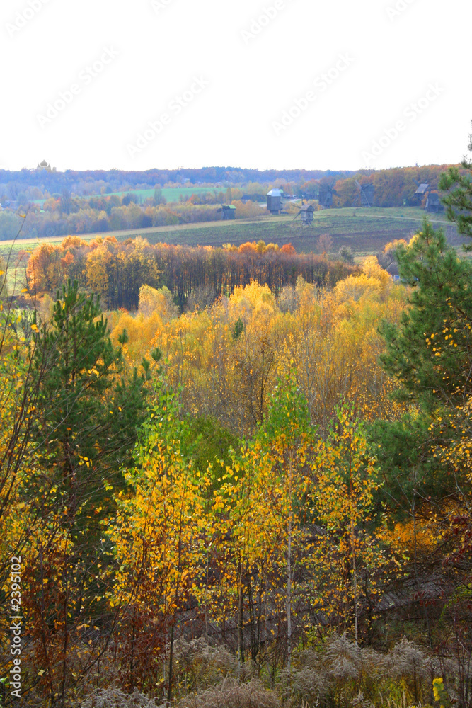 autumn landscape