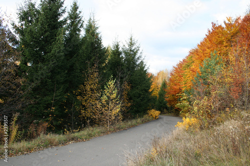 autumn landscape