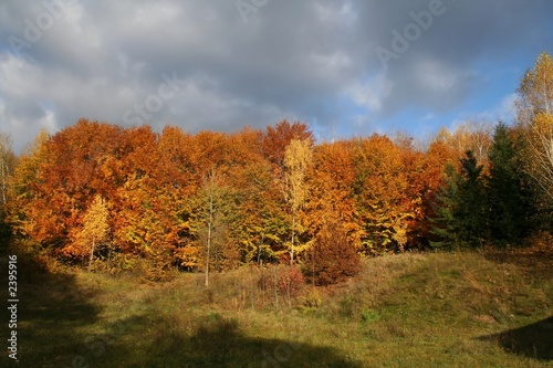 autumn landscape