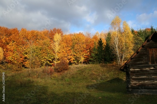 autumn landscape