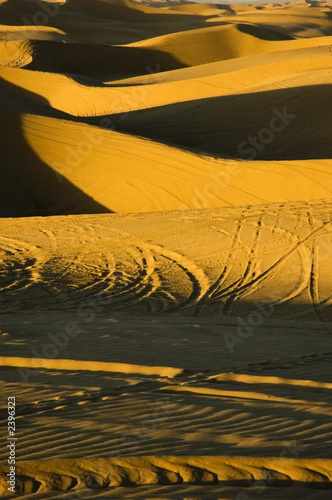 last light shadows