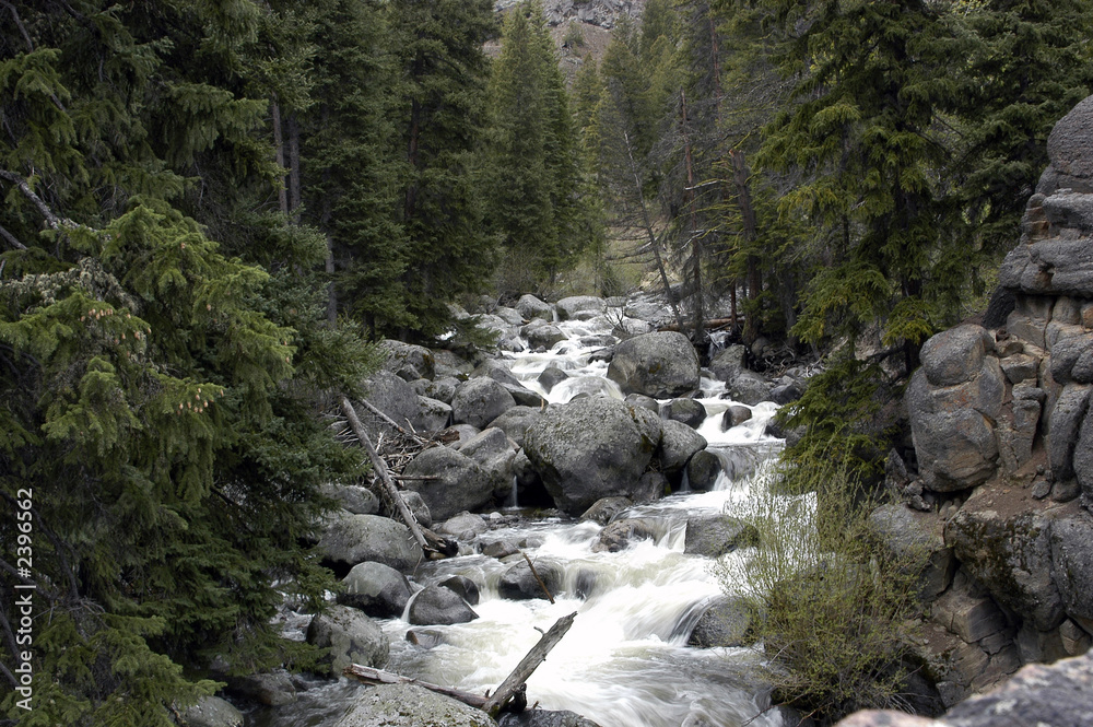 mountain stream mountain stream