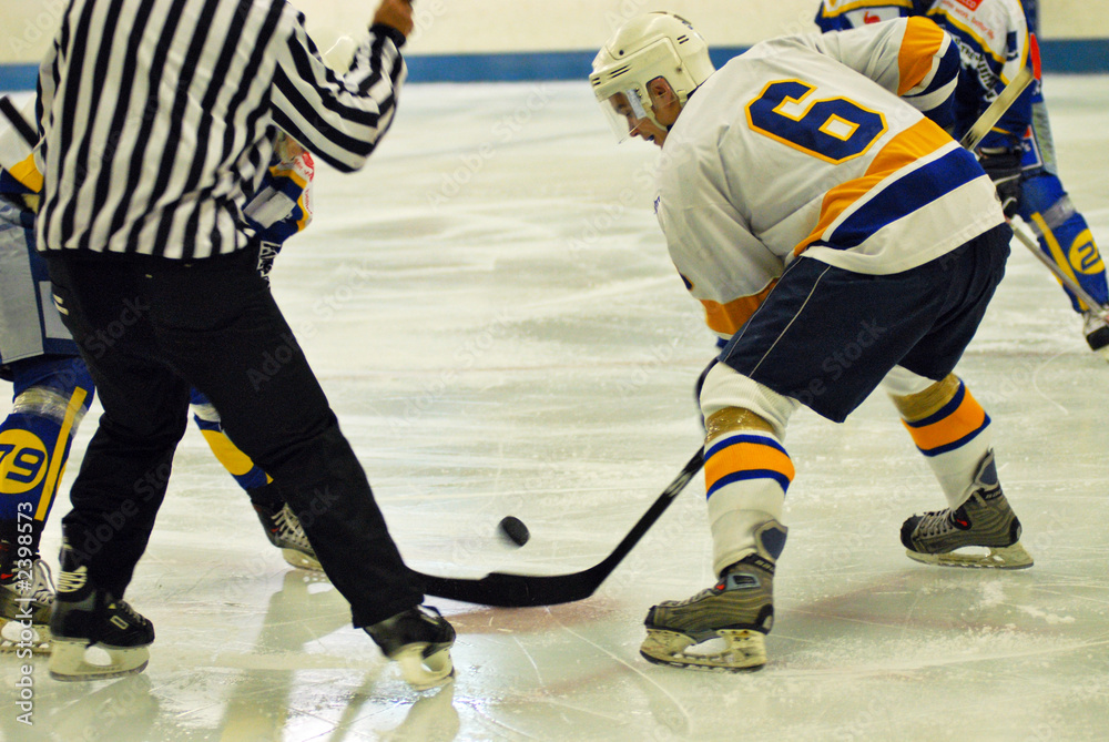 Naklejka premium hockey