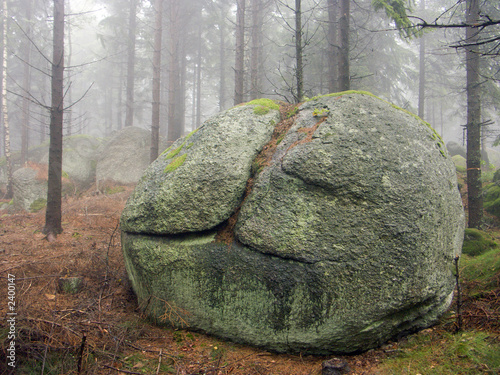 druidenstein photo