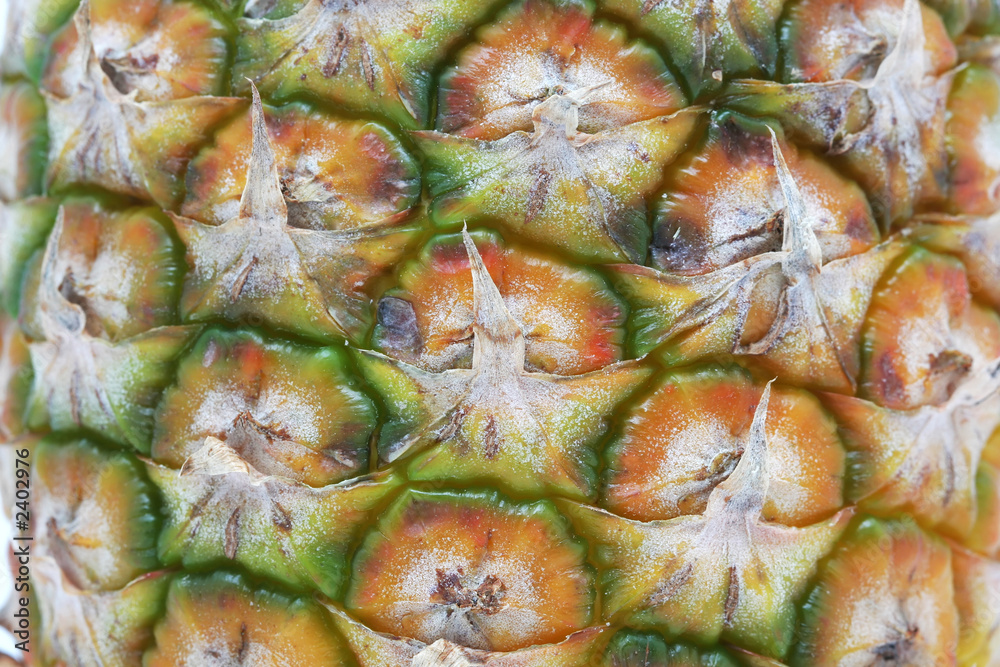 pineapple texture pineapple texture