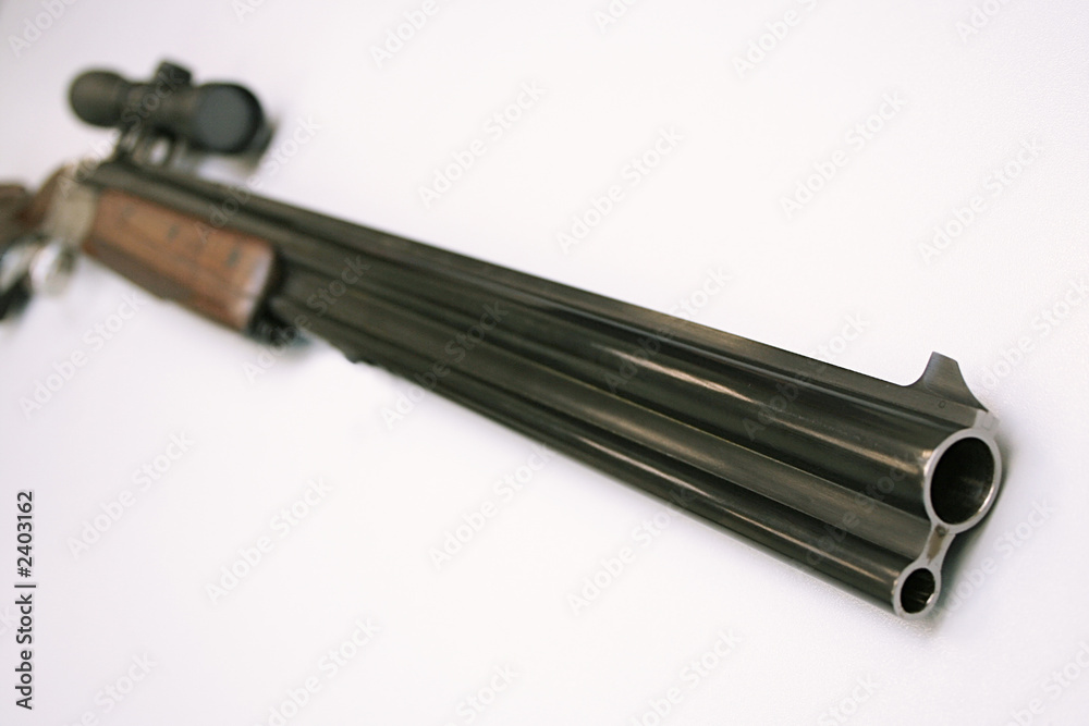 hunting rifle hunting rifle