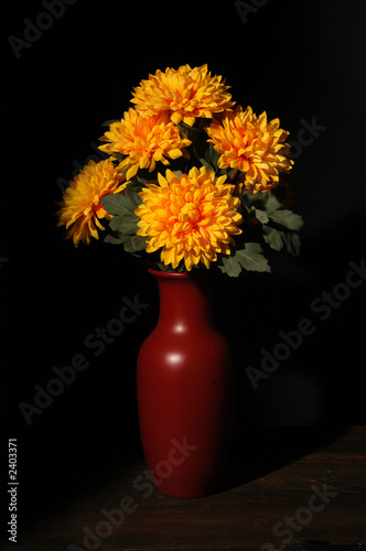 still life mum in a red vase © Ronald Discipulo