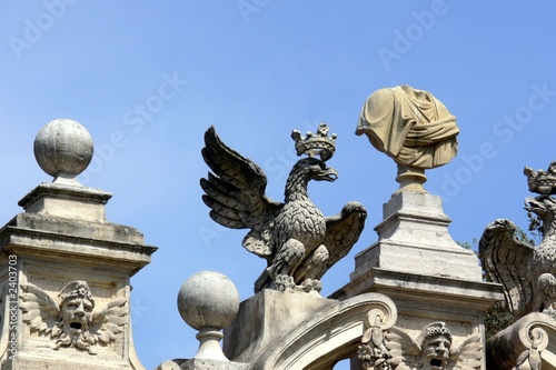 aigle et buste