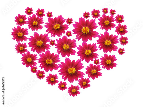 heart of flowers