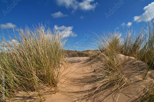 grassy dune