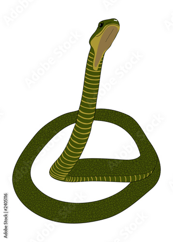 snake