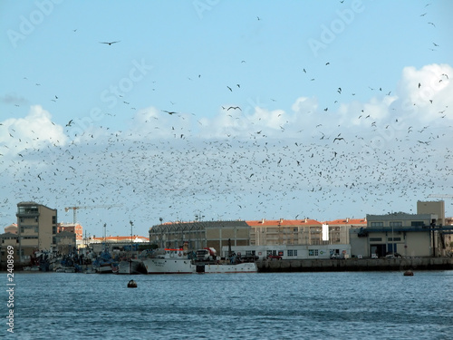 port