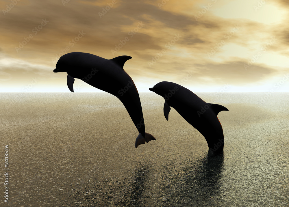 Fototapeta premium dolphins playing