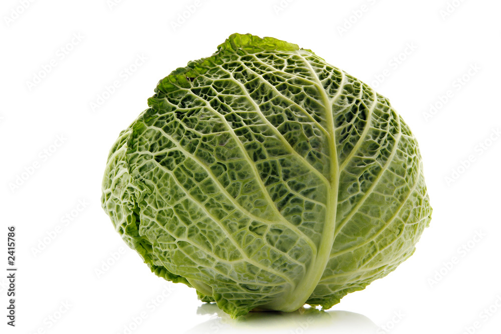 green cabbage green cabbage