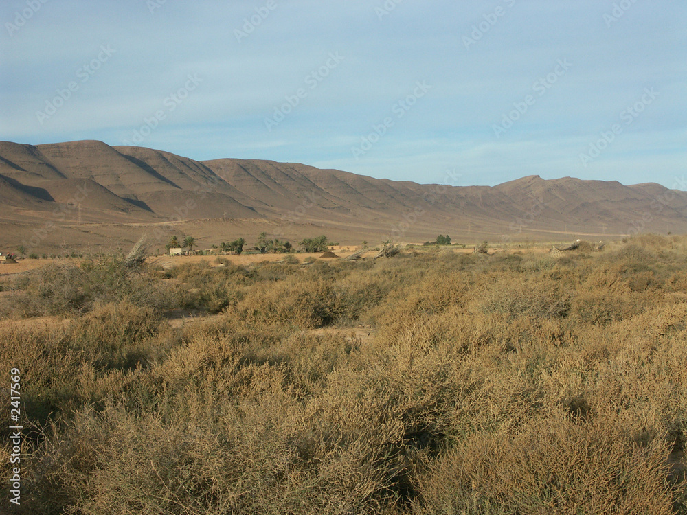 paysage de steppes