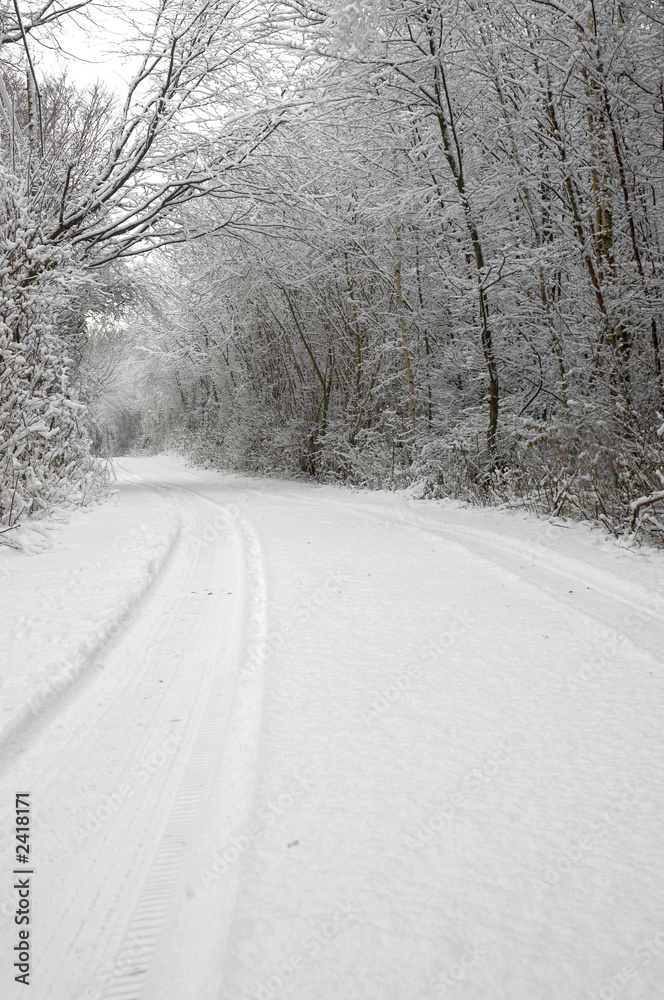 winter wonderland
